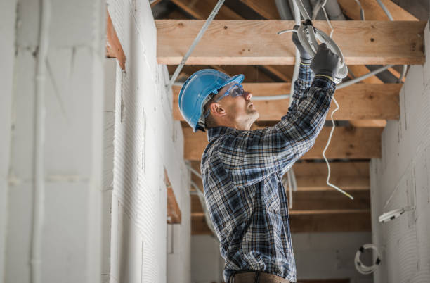 Best Ceiling Fan Installation Electrician  in Sneads, FL
