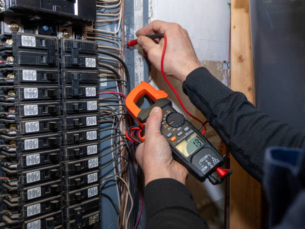 Best Electrical Repair Services  in Sneads, FL