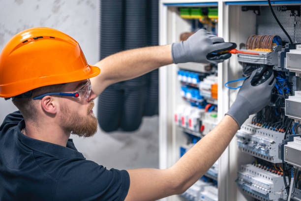 Best Electric Panel Repair  in Sneads, FL